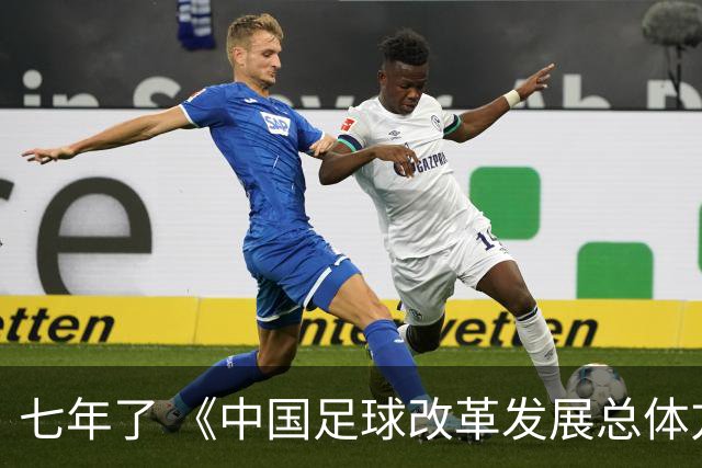 七年了 《中国足球改革发展总体方案》坚定落实了吗
